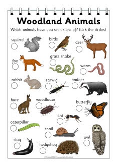 This may contain: a poster with animals and their names on it's page, which includes pictures of them