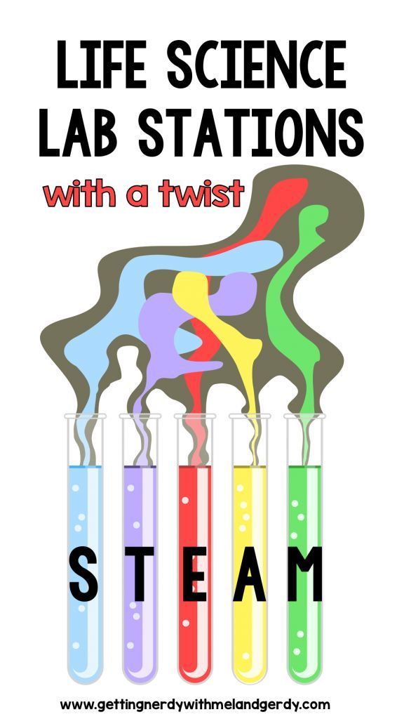This may contain: science lab station with four test tubes filled with liquid and the words stem on it