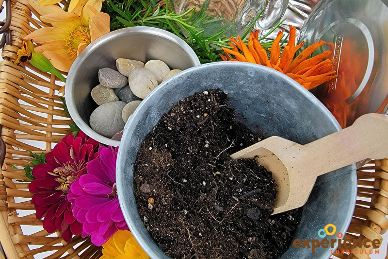 soil, flowers and rocks | 50 Creative Ways to Explore Nature with Children