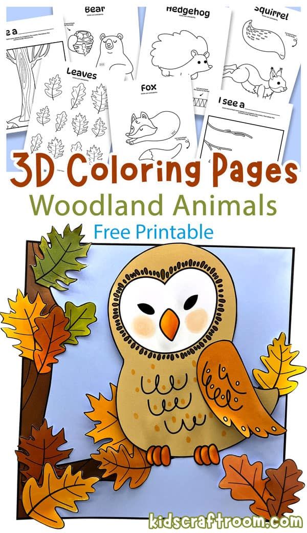 This may contain: an owl sitting on top of a tree branch with the text 3d coloring pages woodland animals free printable