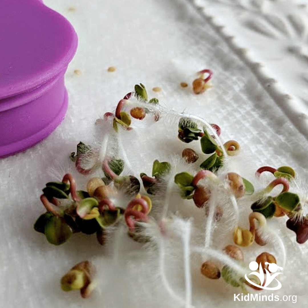 These outdoor science activities will blow your kid's mind. From turning a campfire green with Borax to exploring the world of molecules with a bag of pencils, these activities will help your kids explore, learn, and grow. #kidsactivities #scienceactivities #STEM #getoutside #earlylearning #kidminds #sciencelearning #outside