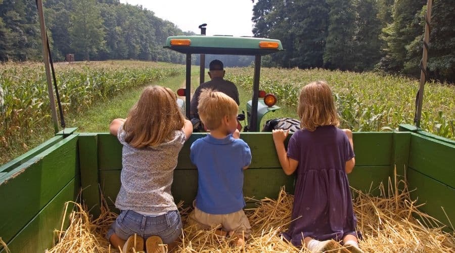 three young children enjoying a hay ride in the back of a truck pulled by a tractor for fall activities for toddlers