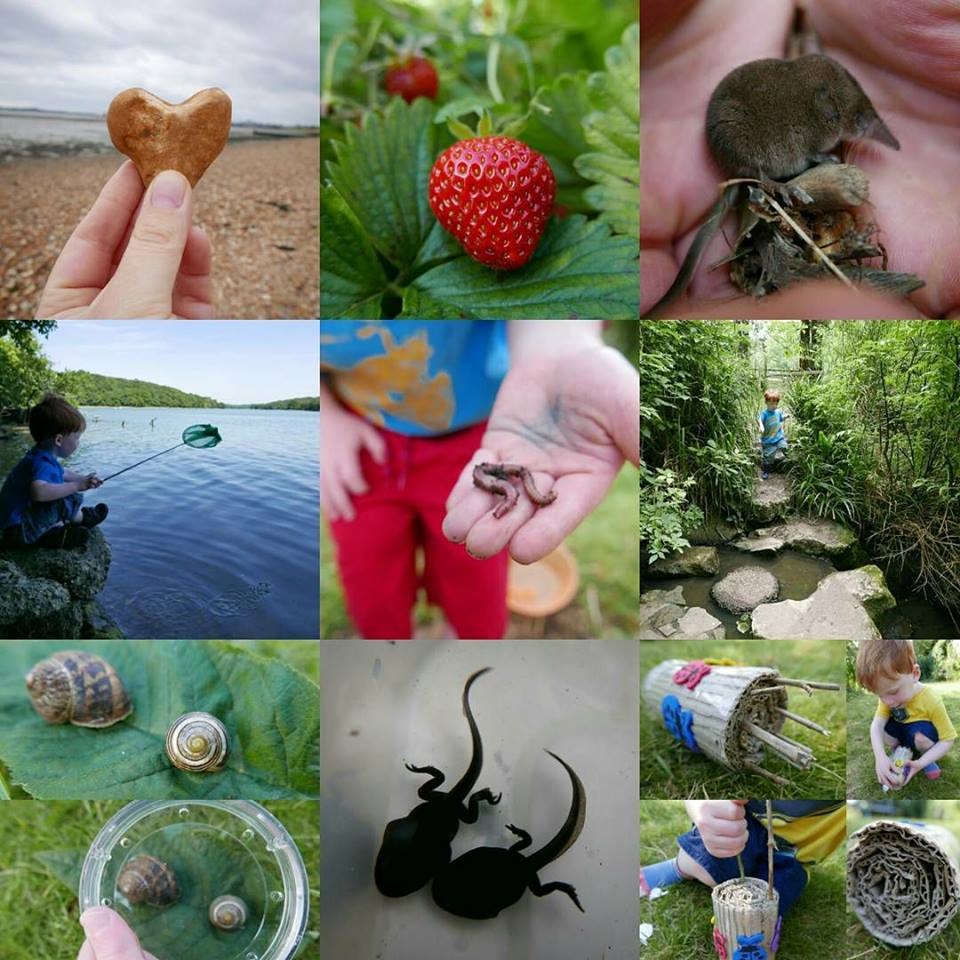 19554421_10155919504610110_3458589955360335459_n