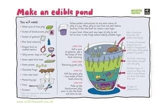 Edible pond