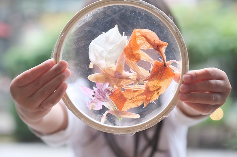 Featured image for 10 Open-ended Children Play Ideas to Repurpose Wilting Flower Bouquets