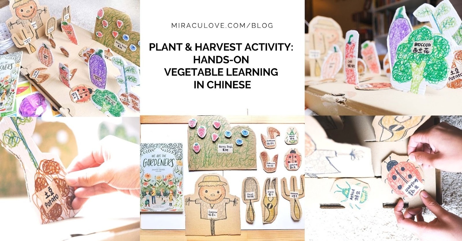 Featured image for Plant & Harvest Activity: Hands-on Vegetable Learning in Chinese