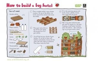 Bug hotel