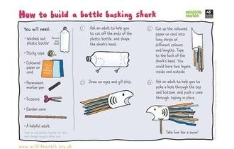 Bottle basking shark