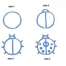 How to draw a ladybug