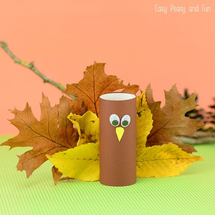 Toilet Paper Roll Turkey Craft