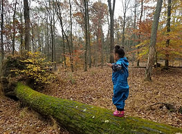 2 Year Old balancing on fallen tree, Photo by Ashley @urbanknotsmama