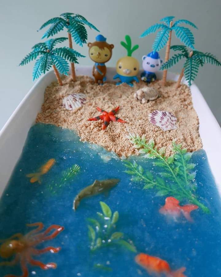 This may contain: an aquarium with fish, plants and sand in it's bottom half is shown