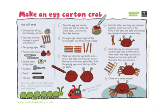 Egg carton crab