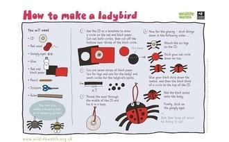 Ladybird craft