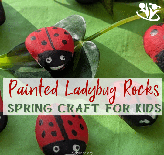 Create adorable painted ladybug rocks. This fun craft involves painting small rocks to look like cute, colorful ladybugs. It's easy and perfect for kids of all ages. #kidsactivities #artsandcrafts #creativelearning #braingym #earlyeducation #funlearning #creativekids #kidminds #springcrafts #ladybugcraft