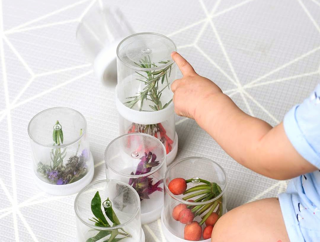 This may contain: there are many different pictures with the words color experiments steam