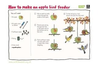 Apple bird feeder