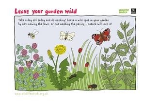 leave your garden wild