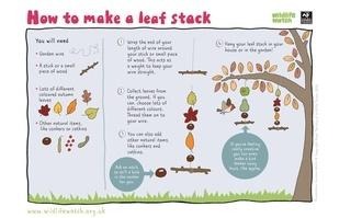 Leaf stack