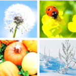 500 Science Activities for Every Month of the Year post image