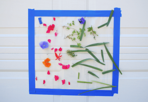 nature activities for toddlers