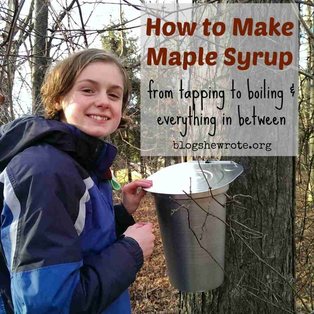 How to Make Maple Syrup