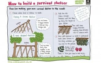 Survival shelter