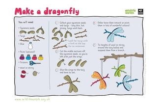 Dragonfly craft