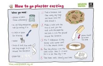 Plaster casting