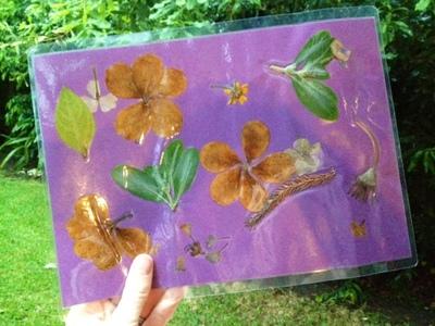 

dried flowers laminated placemat kids craft mothers day
