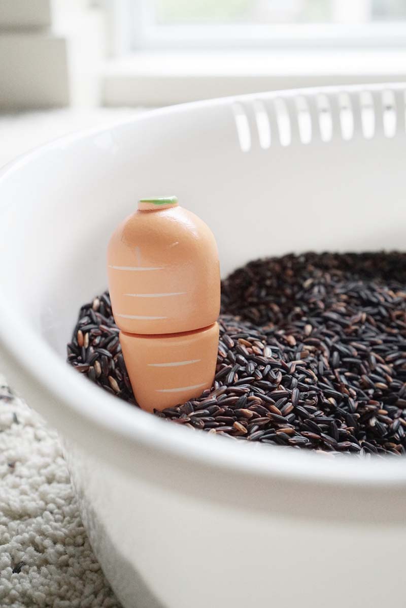 Vegetable Garden Sensory Bin for Toddlers