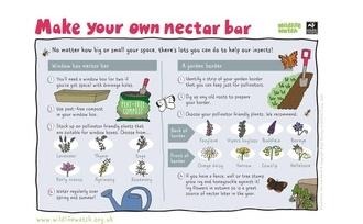 Nectar bar