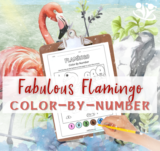 This cute flamingo color-by-number printable is a fun and creative activity that enhances kids' color recognition and fine motor skills while they are having fun. #flamingos #creativelearning #funlearning #kidsactivities #earlyeducation #freedownload #braingym #kidminds