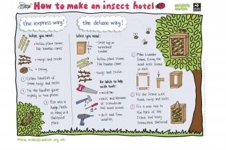 Insect hotel