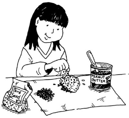 How to Make Bird Snacks