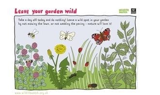 leave your garden wild