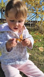 Baby girl sitting in the grass playing with a leaf in her hands