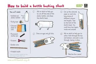 Bottle basking shark