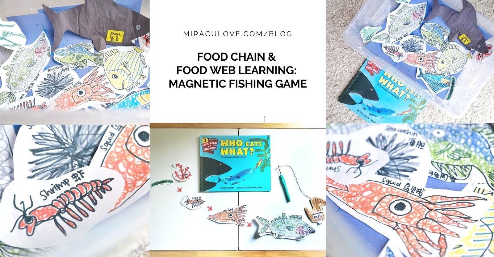 Featured image for Food Chain & Food Web Learning: Magnetic Fishing Game