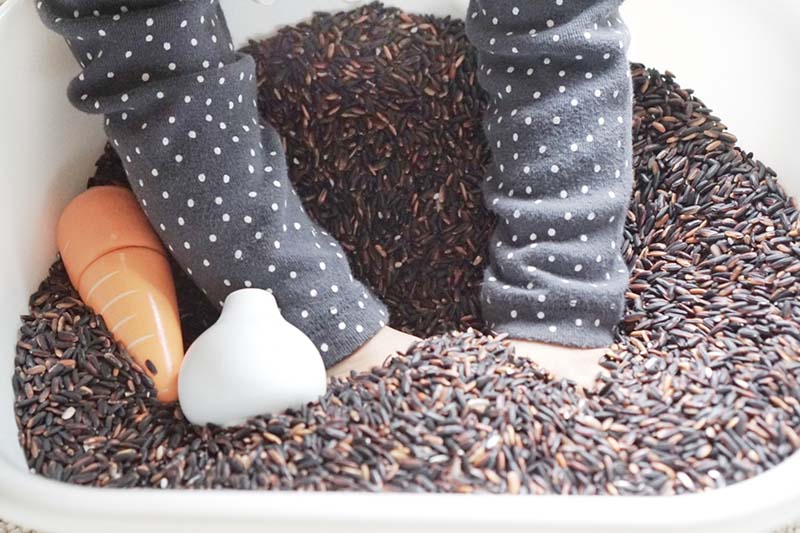 Vegetable Garden Sensory Bin for Toddlers