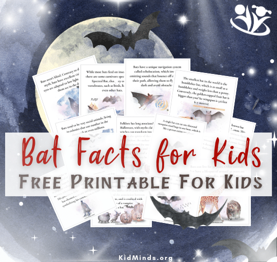 Whisk your kids into the fascinating world of bats with 16 printable bat facts. They will fire up kids' neurons, tickle their curiosity, and make bat-ology a hoot! #kidsactivities #braingym #creativelearning #bats #factsforkids #kidminds #science4kids #funlearning #earlyeducation #freedownload